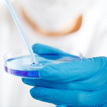 规范、品控管理